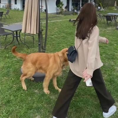 逃出生天